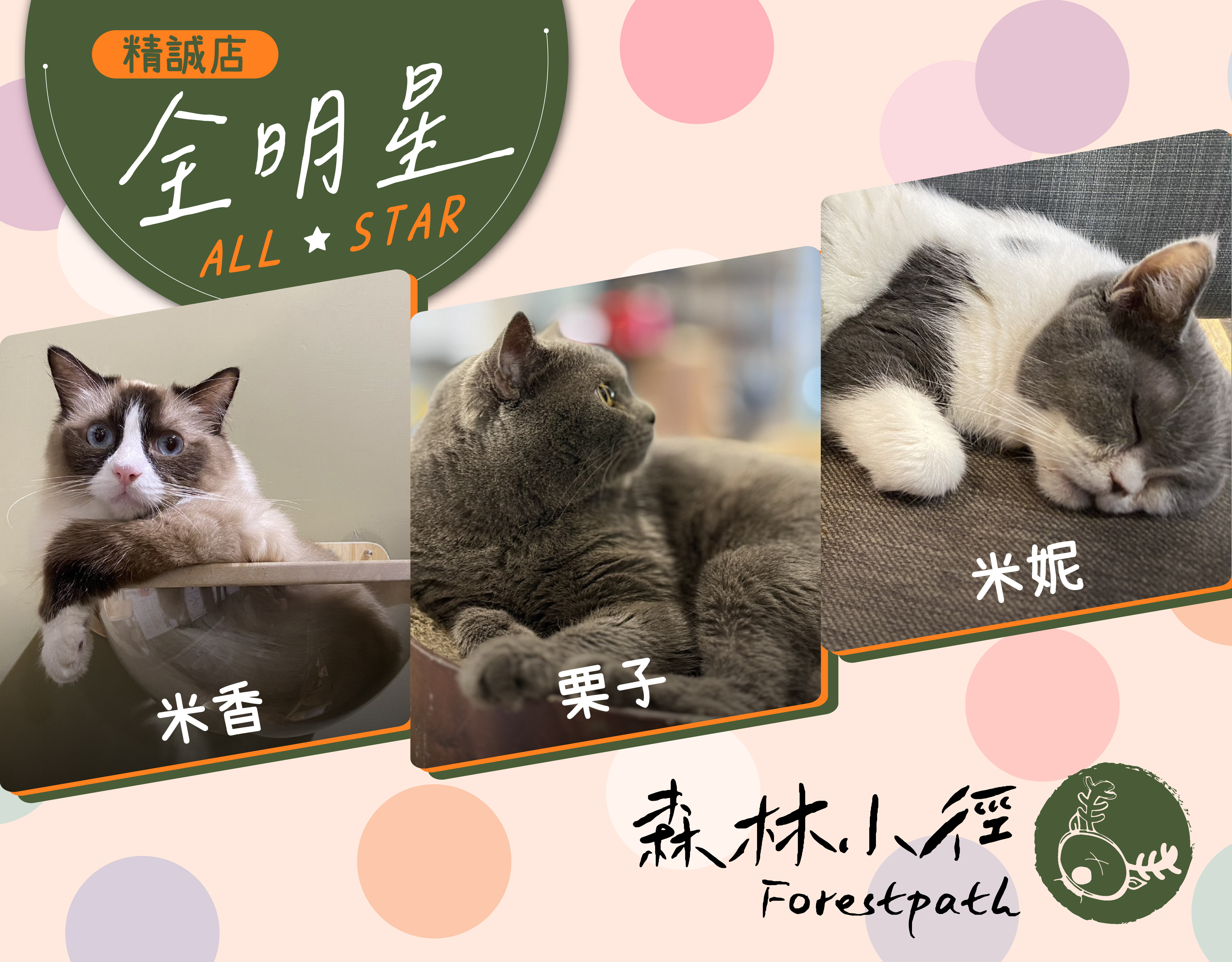 森林小徑餐廳精誠店明星